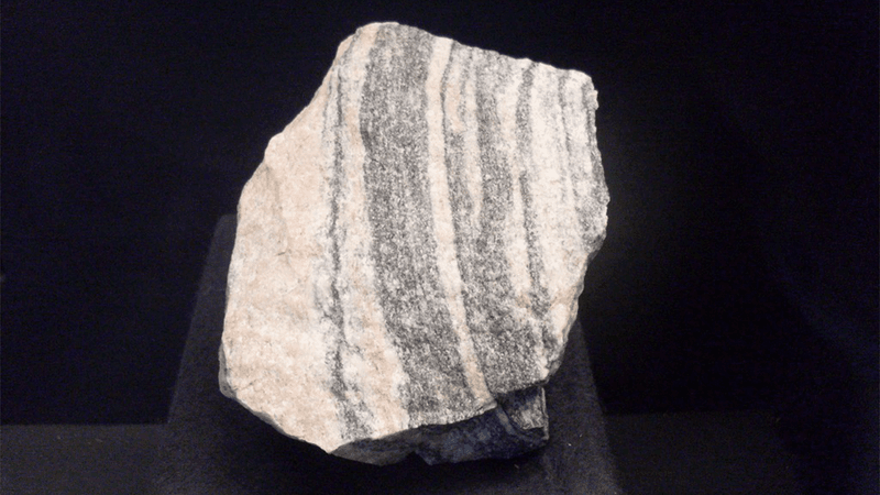 A large section of rock on display at a museum. The rock is pale with grey streaks running through it.