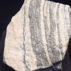 A large section of rock on display at a museum. The rock is pale with grey streaks running through it.