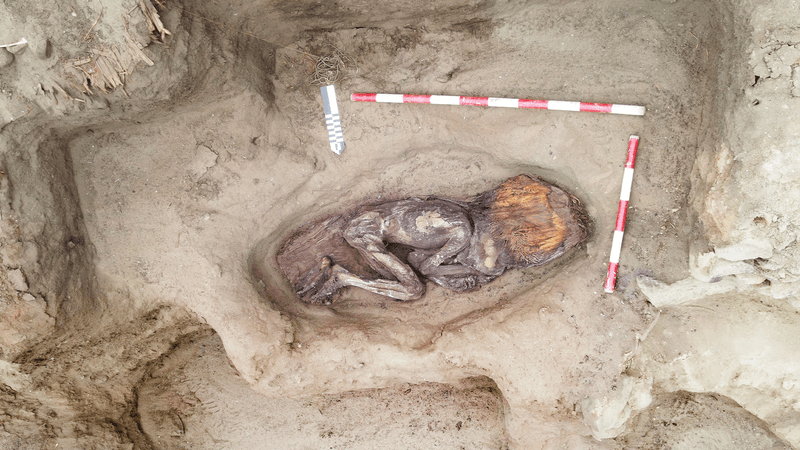Ancient Perucian Caral civilization burial