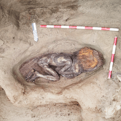 Ancient Perucian Caral civilization burial