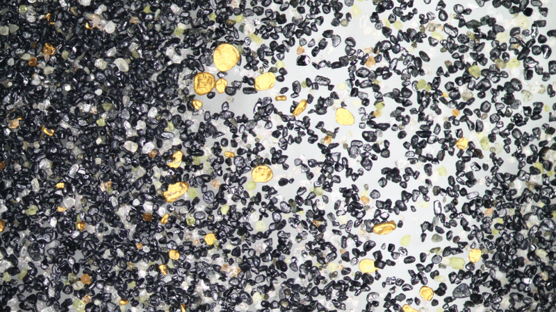 tiny flecks of gold among other minerals in fine sand on new zealand beaches