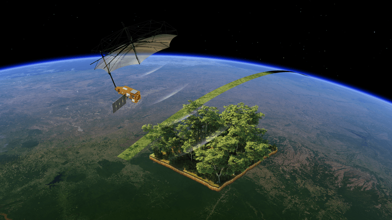 an image of Earth from space with the satellite and its massive antenna point downwards. A patch of forest is seen zoomed in with a strip of satellite map passing under the canopy.