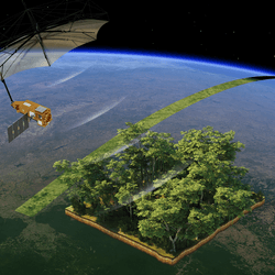 an image of Earth from space with the satellite and its massive antenna point downwards. A patch of forest is seen zoomed in with a strip of satellite map passing under the canopy.