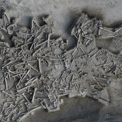 The skeletons lay jumbled and in different positions on an area of 15 square metres.