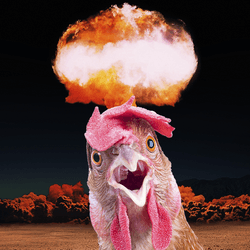 A chicken in front of a nuclear blast.