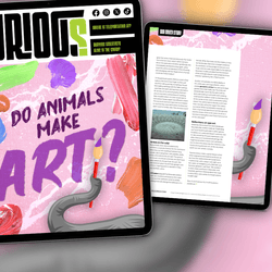 CURIOUS Issue 33