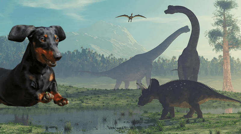 A tropic landscape of long-necked dinosaurs, with a modern dog photoshopped into the forefront.