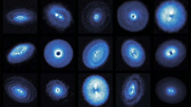 exoALMA images of protoplanetary discs.