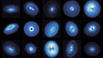 exoALMA images of protoplanetary discs.
