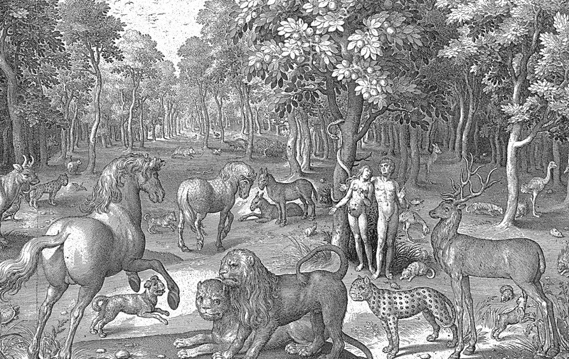 An illustration of Adam and Eve with the serpent and other animals in the garden of Eden, engraved  by Nicolaes de Bruyn, 1642.