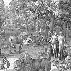An illustration of Adam and Eve with the serpent and other animals in the garden of Eden, engraved  by Nicolaes de Bruyn, 1642.