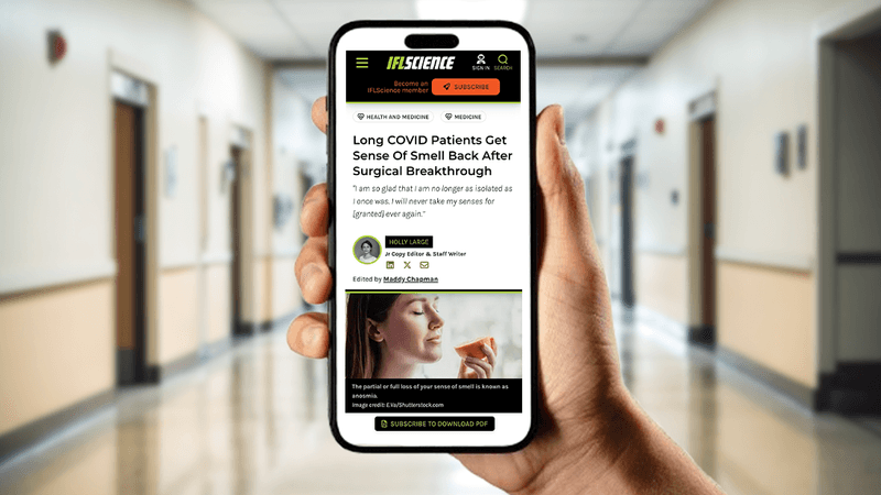 hand holding up phone screen displaying IFLScience article