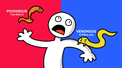 cartoon person against blue and red background; left side has a worm with a bit taken out of it and the text "Poisonous: you bite it"; right has a snake biting the person with the text "Venomous: it bites you"