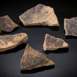sherds of purple dye vats with purple dye remains