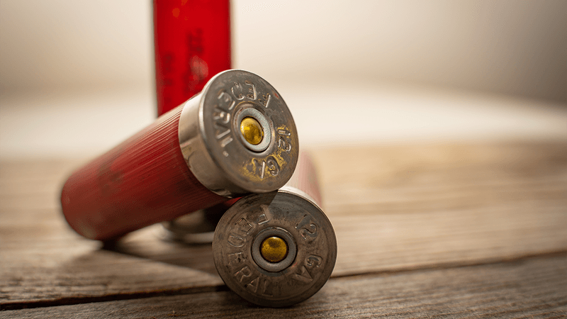 Shotgun shells.