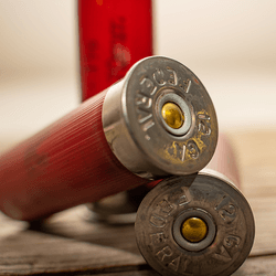 Shotgun shells.