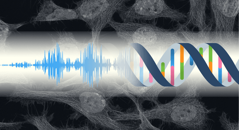 The fundamental relationship between life and sound