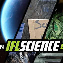 All the biggest science news stories of the week.