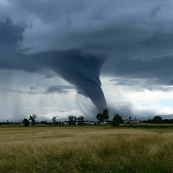 A tornado forming over farmland. 